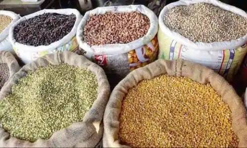 देश में दालों के उत्पादन को बढ़ाने के लिए केंद्र सरकार की बड़ी पहल, 20 लाख किसानों को दलहनी फसलों के बीज मुफ्त बांटेगी, जाने किसे होगा लाभ देश में दालों के उत्पादन को बढ़ाने के लिए केंद्र सरकार की बड़ी पहल, 20 लाख किसानों को दलहनी फसलों के बीज मुफ्त बांटेगी, जाने किसे होगा लाभ